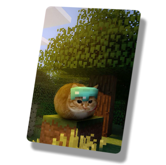 Minecraft Cat With Diamond Helm