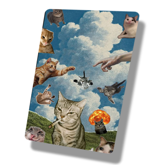 Creation of Cats
