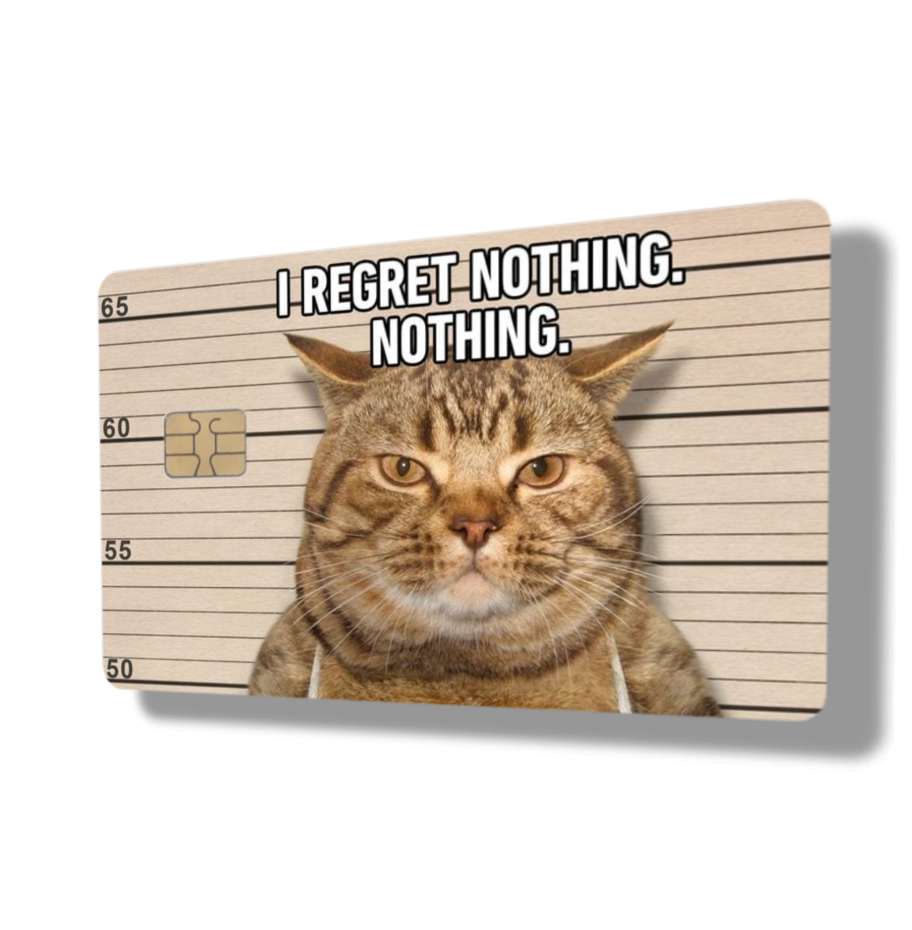 I Regret Nothing, Nothing Cat