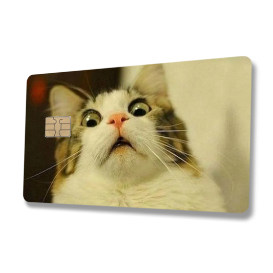 Shocked Cat