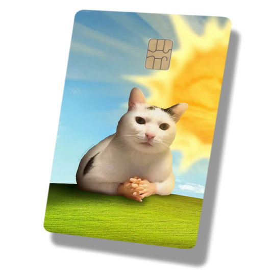 Sunshine Cat