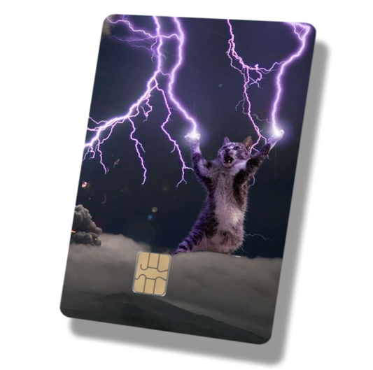 Thunder Cat