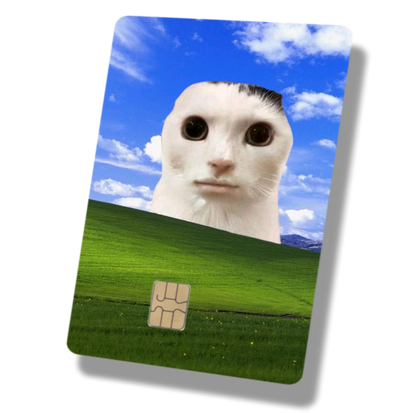 Derpy Cats