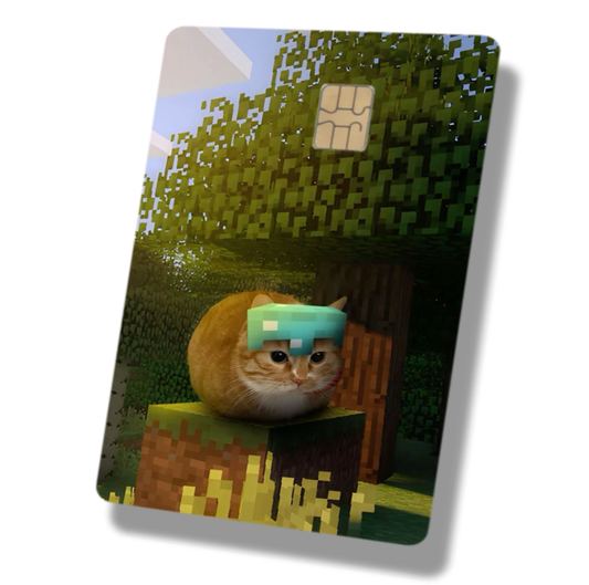 Minecraft Cat With Diamond Helm