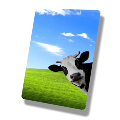 Grass & Space Cow Meme