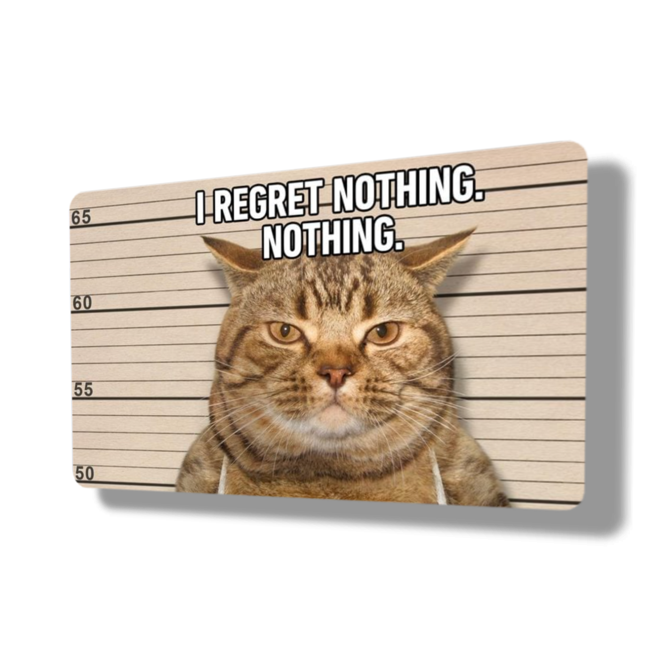 I Regret Nothing, Nothing Cat