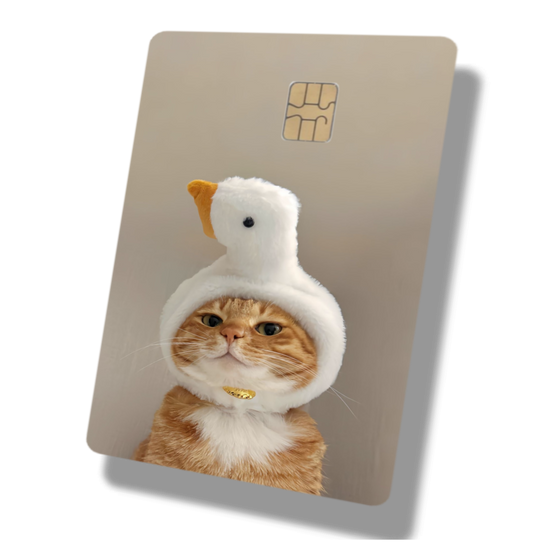 Cat Duck Hat
