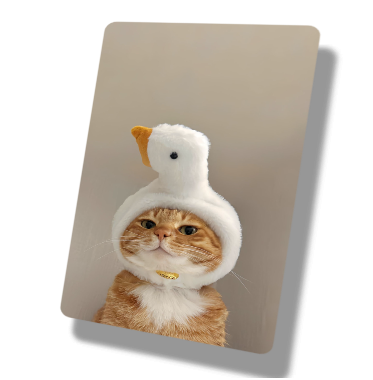 Cat Duck Hat