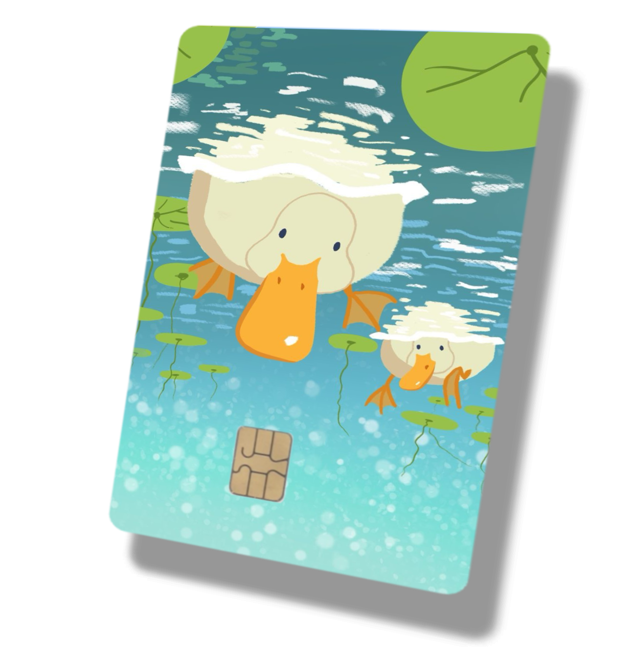 Two Ducks Swimming