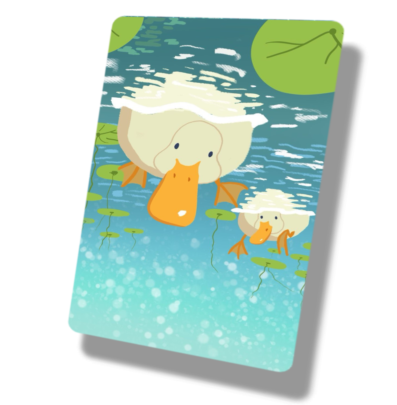 Two Ducks Swimming