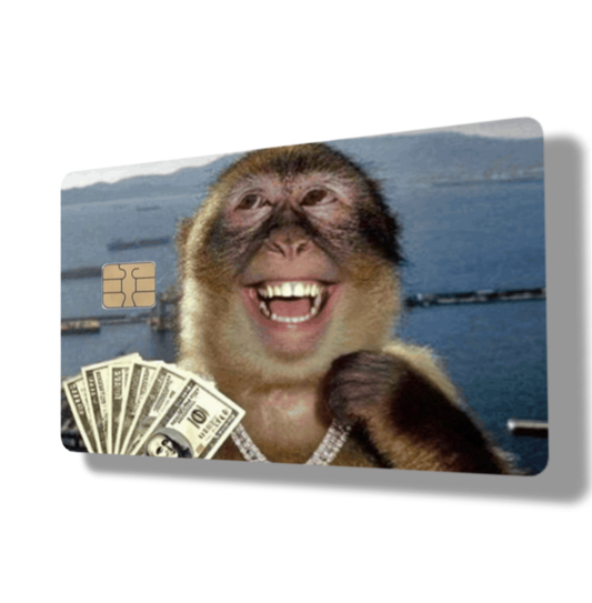 Rich Monkey Money