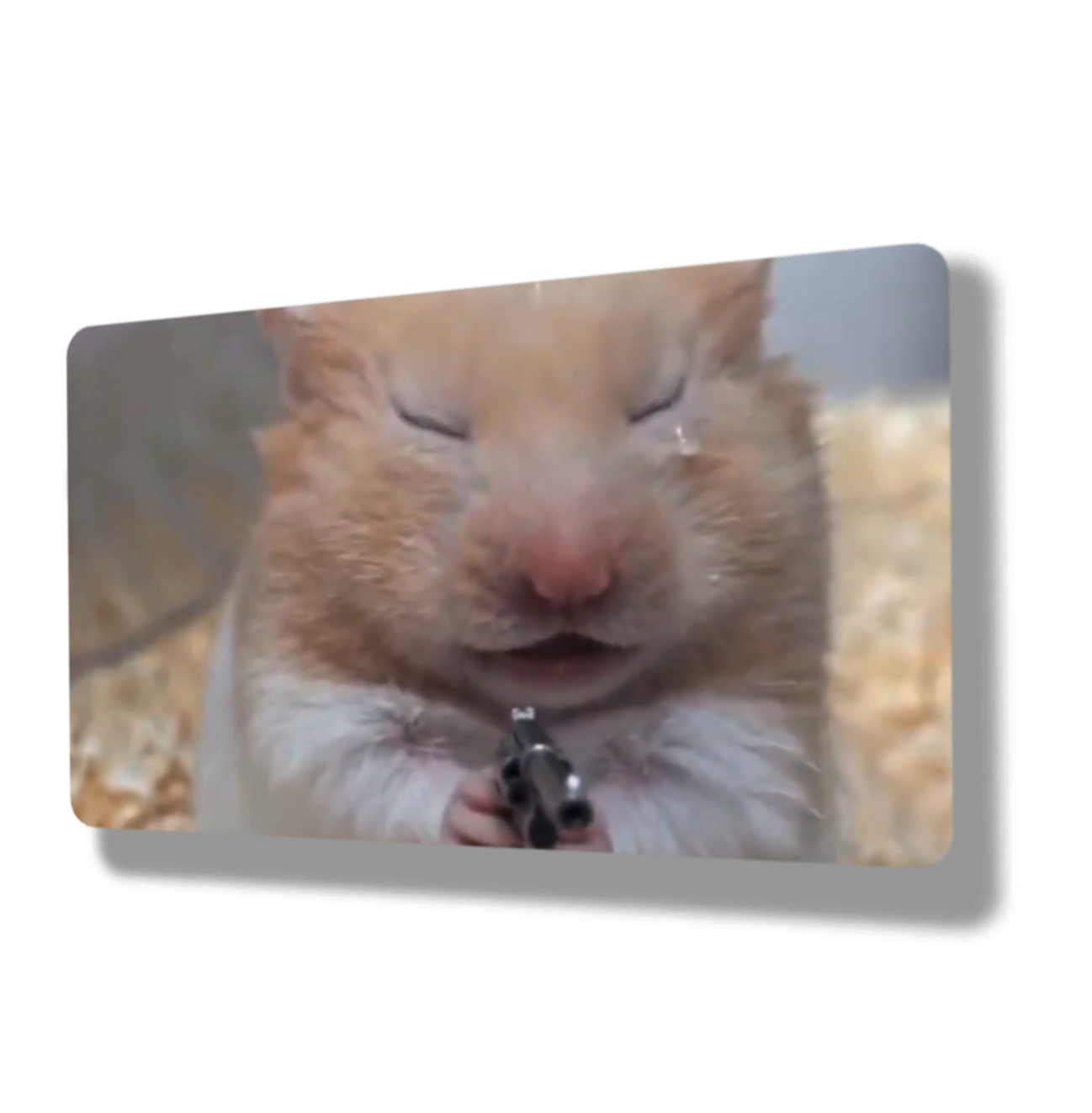 Closed Eyes Crying Hamster Meme