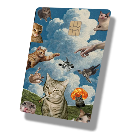 Creation of Cats