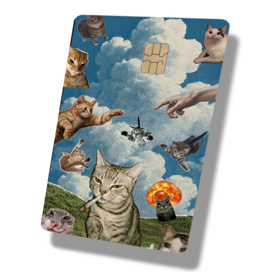 Creation of Cats