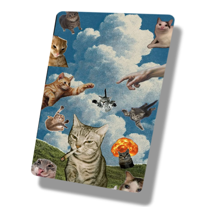 Creation of Cats