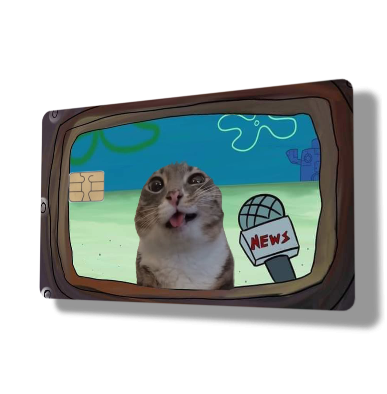 Derpy News Cat