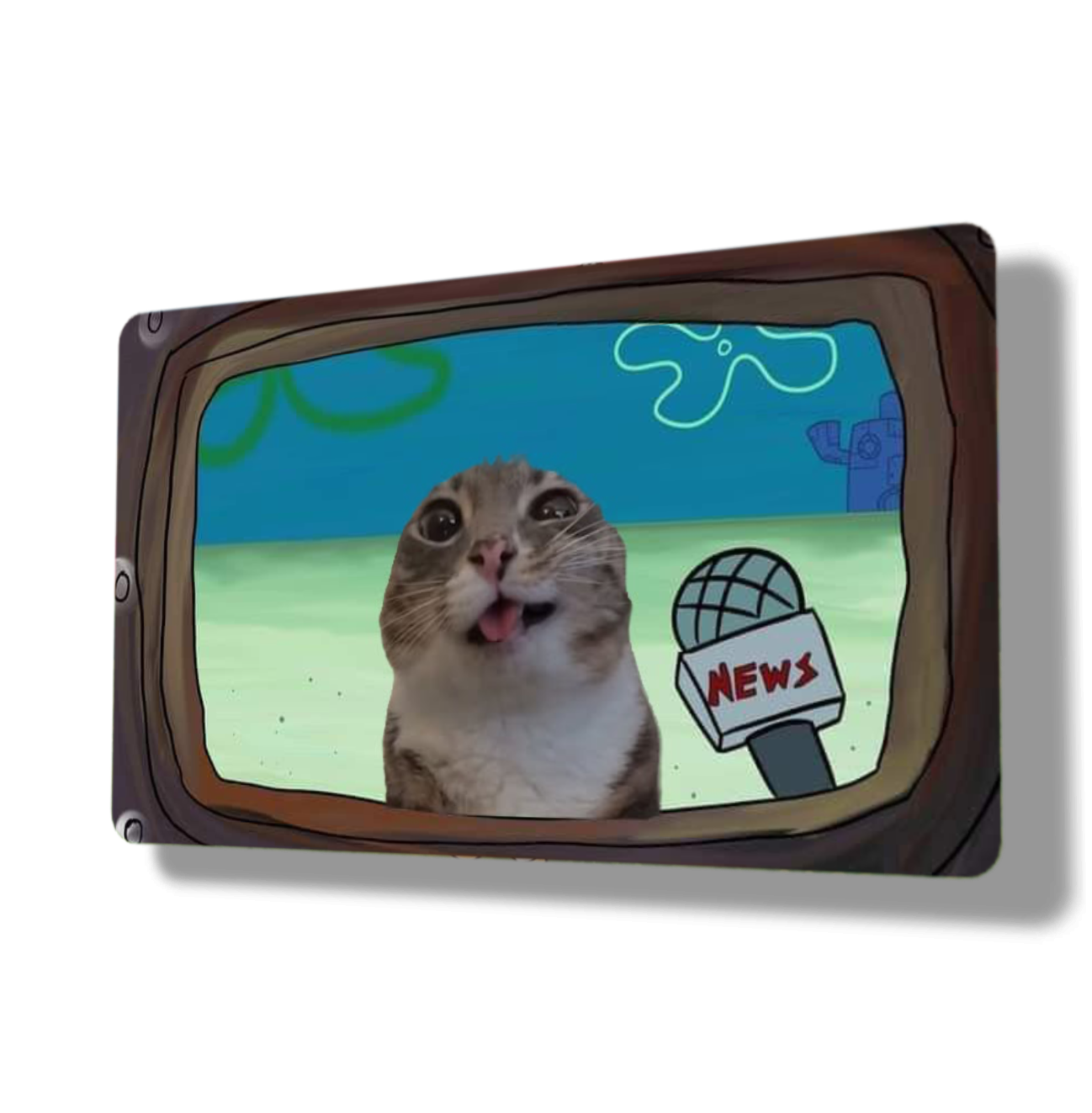 Derpy News Cat