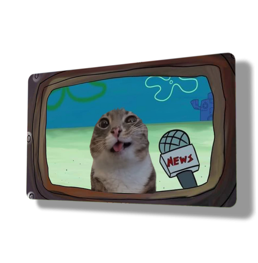 Derpy News Cat