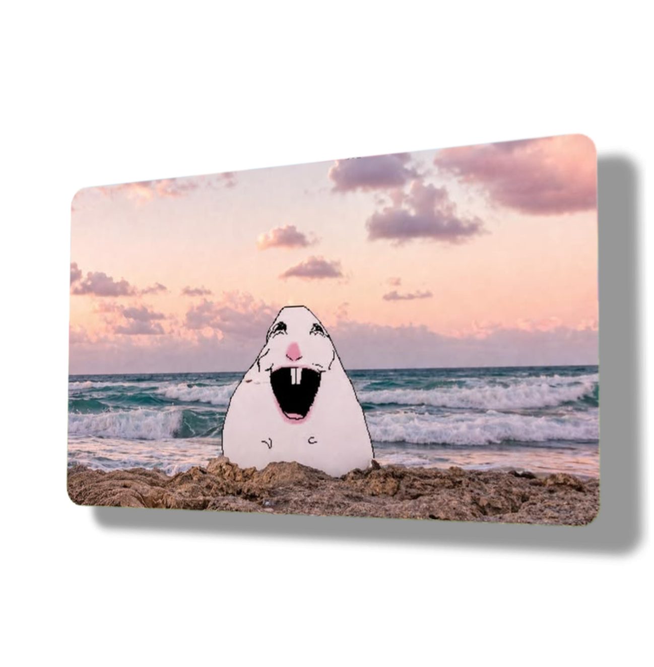 Goofy Hamster Beach Meme