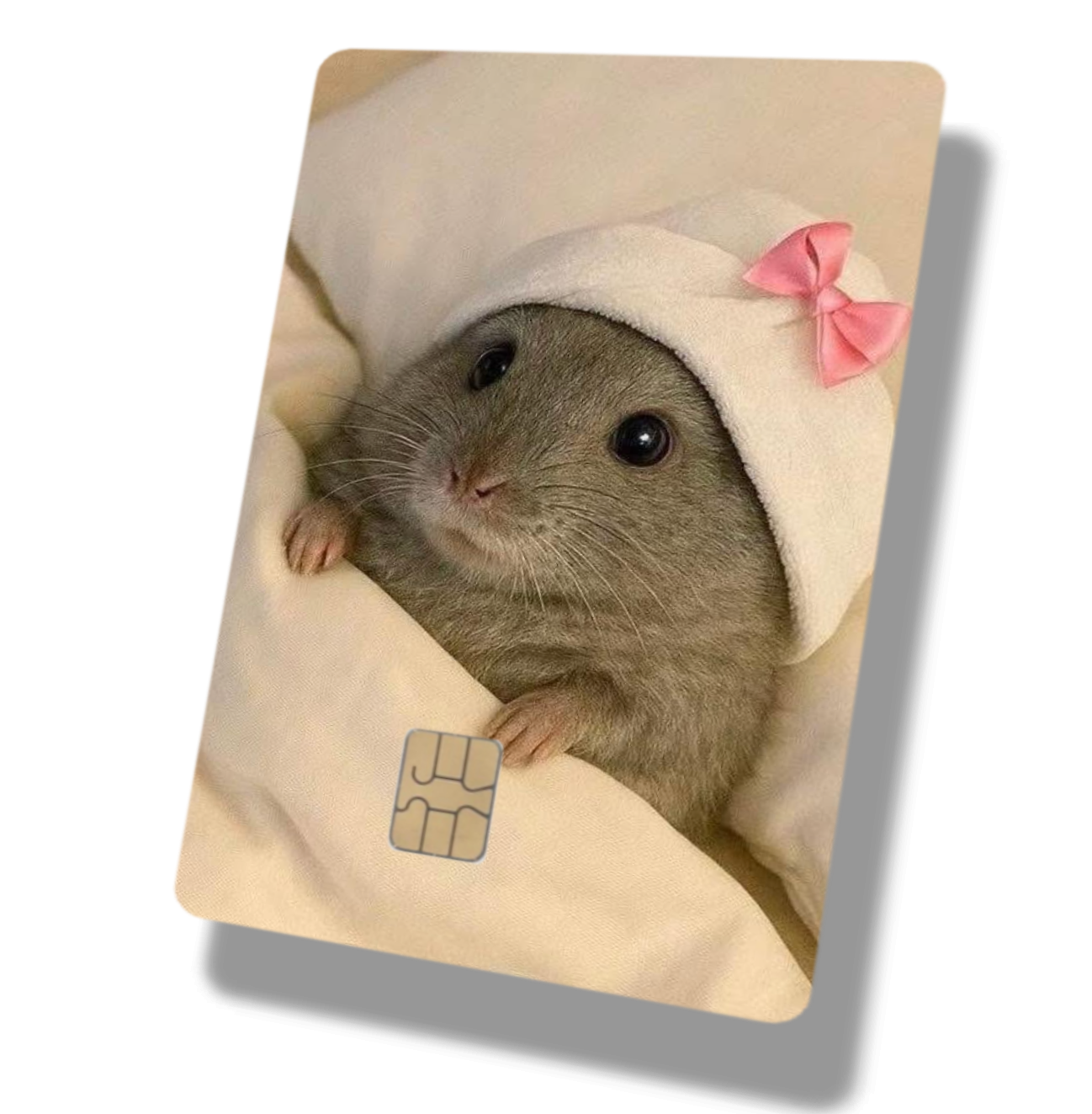 Cute Bow Hamster