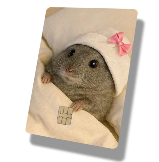 Cute Bow Hamster
