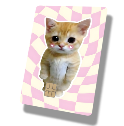 Cute Blush Orange Cat