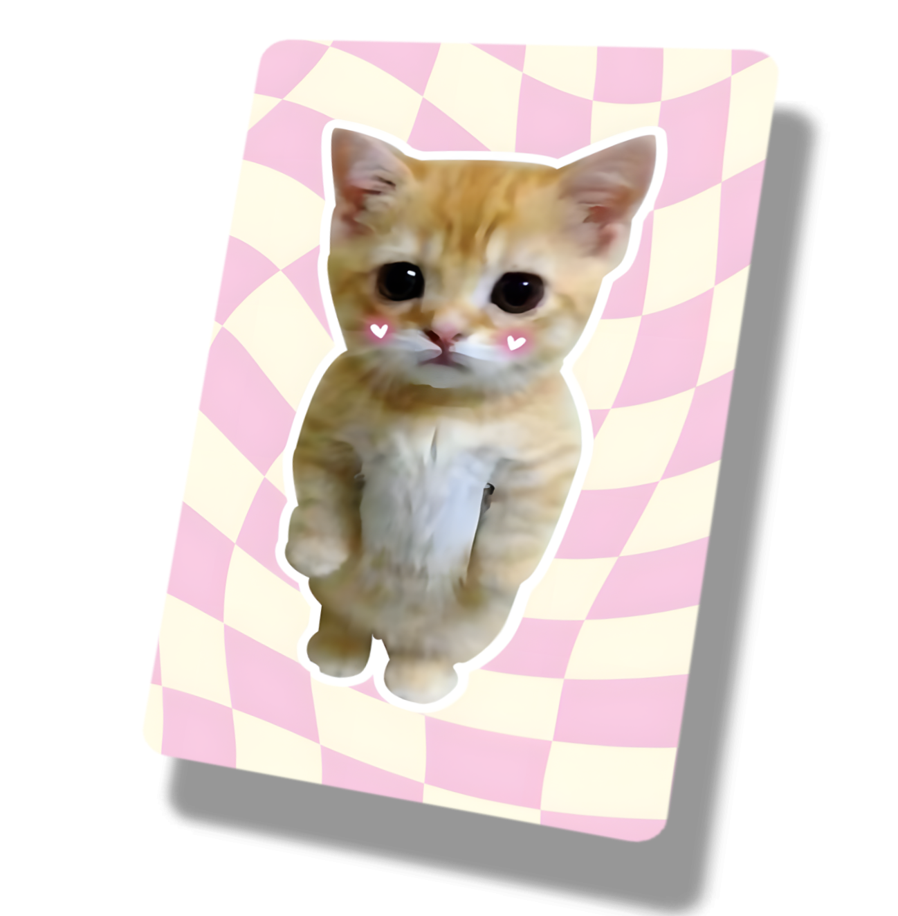 Cute Blush Orange Cat