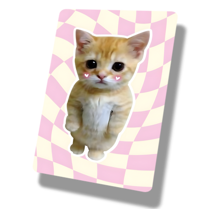 Cute Blush Orange Cat