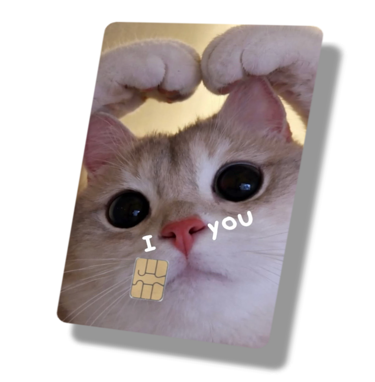 I Love You Heart Nose Cat