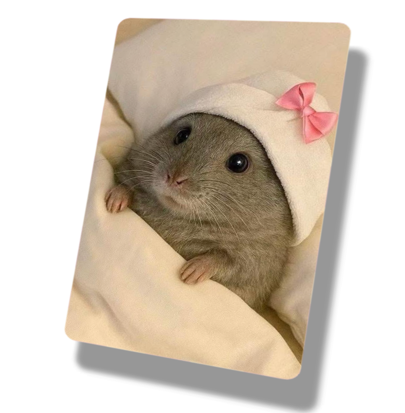 Cute Bow Hamster