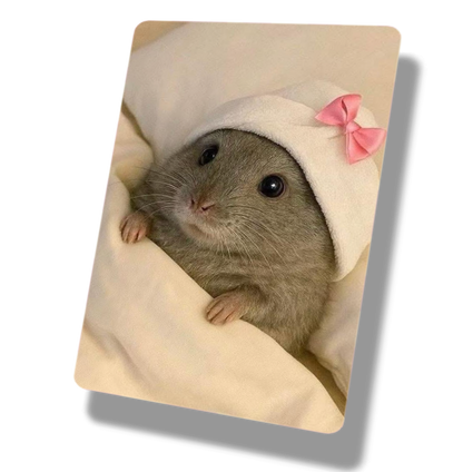 Cute Bow Hamster