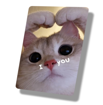 I Love You Heart Nose Cat