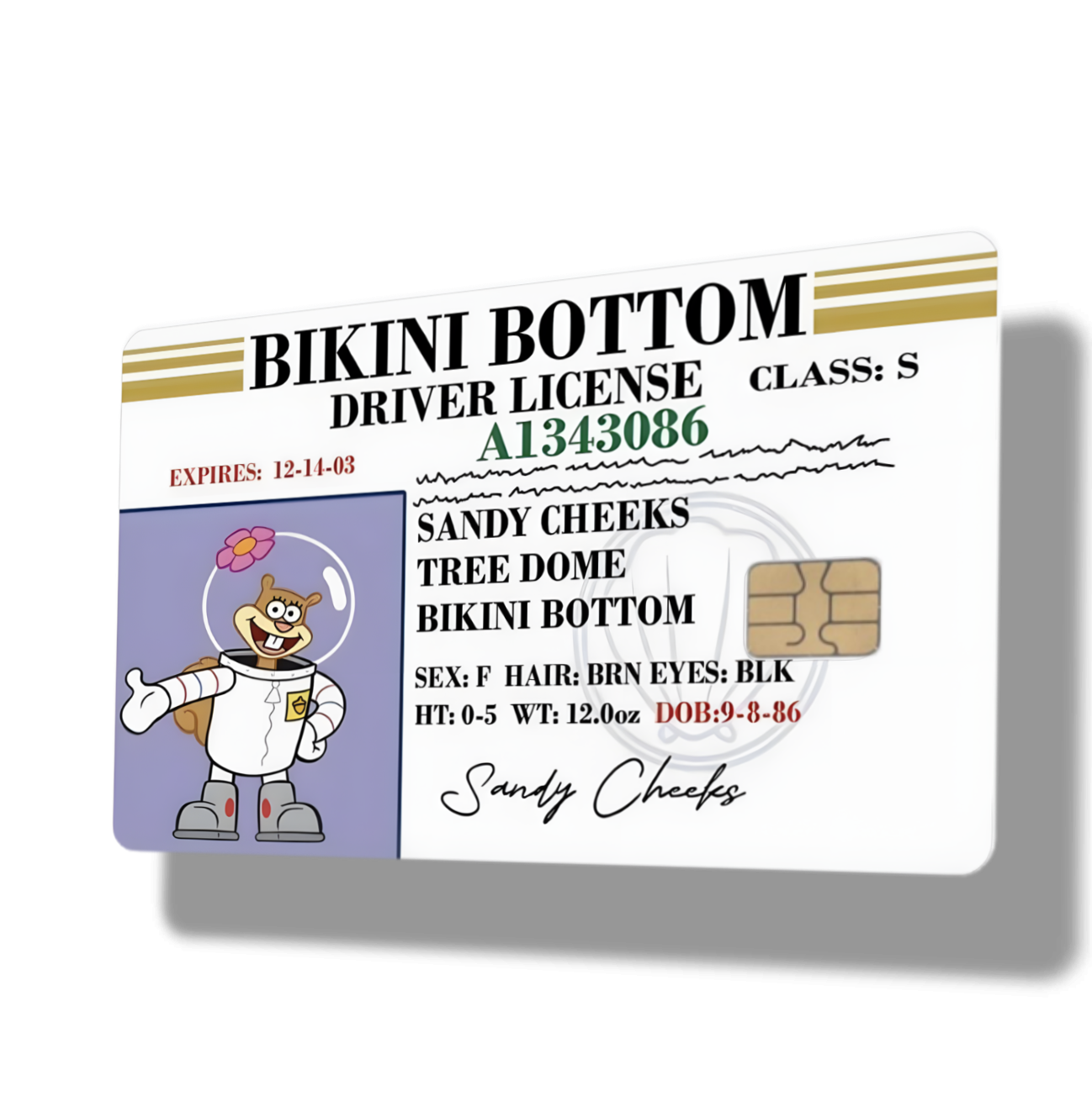 Sandy Bikini Bottom Drivers License