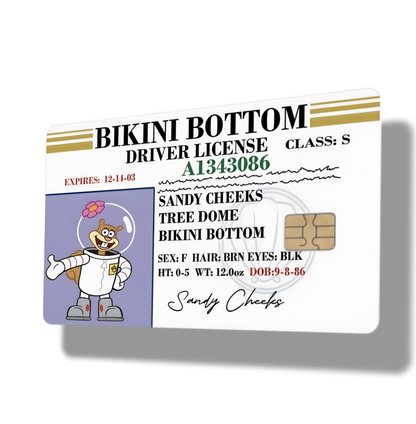 Sandy Bikini Bottom Drivers License