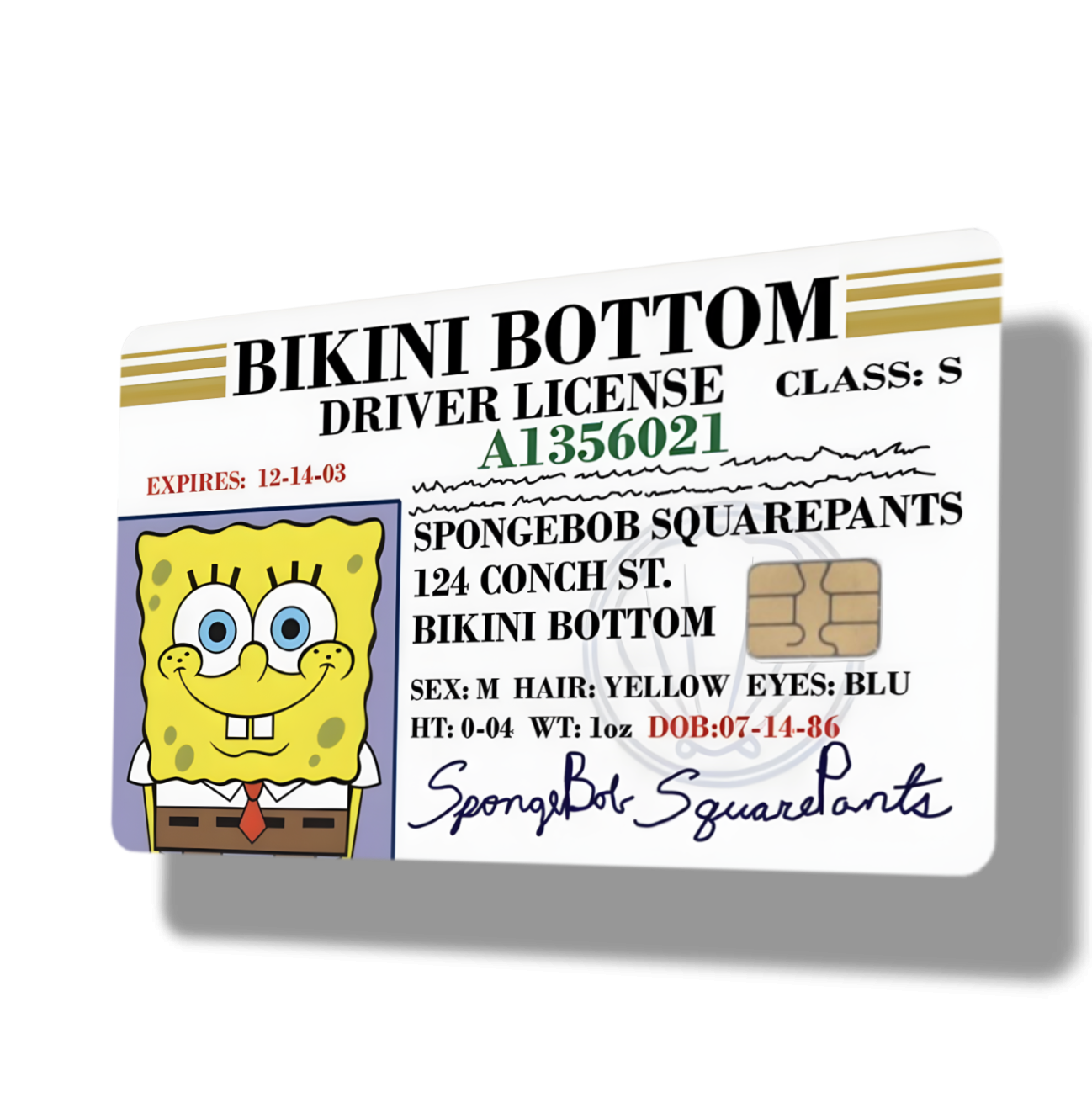 Spongebob Squarepants Bikini Bottom Drivers License