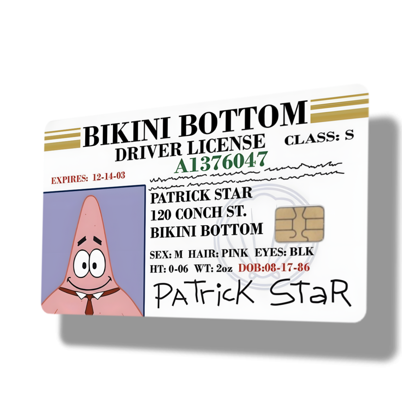 Patrick Star Bikini Bottom Drivers License