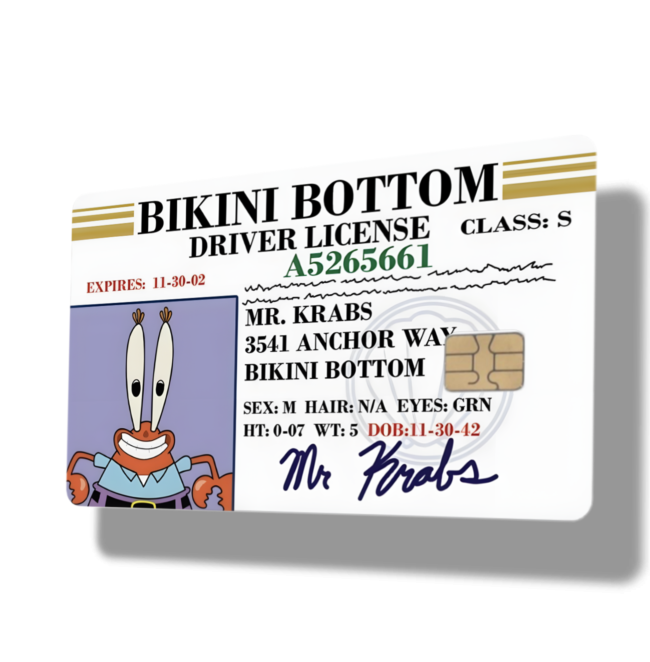 Mr Krabs Bikini Bottom Drivers License